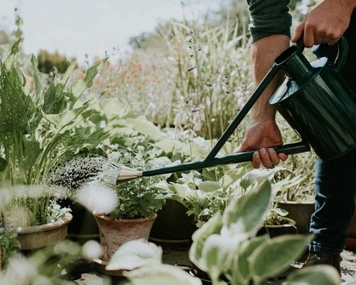 Haws gieters: Welke soorten zijn geschikt voor welk doel?