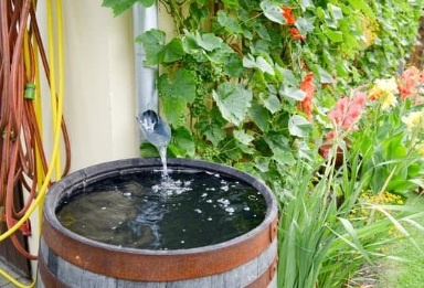 Een regenton, hoeveel liter, hout, kunststof ....