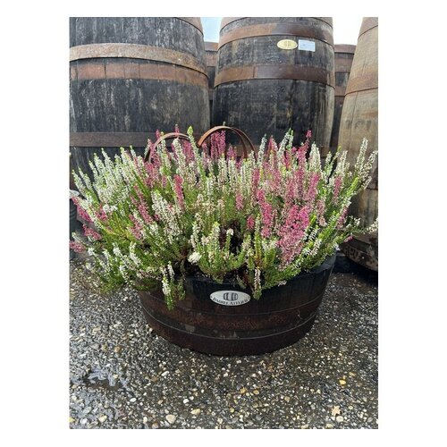 Vatenhandel Stijf Eikenhouten kuip - 50 liter - 1/4 whiskyvat - bloembak - water opvangen