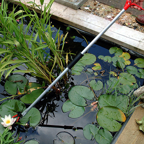 Darlac Rozen-fruit Plukschaar - 65 cm of 100 cm - Rozenschaar - Fruitschaar