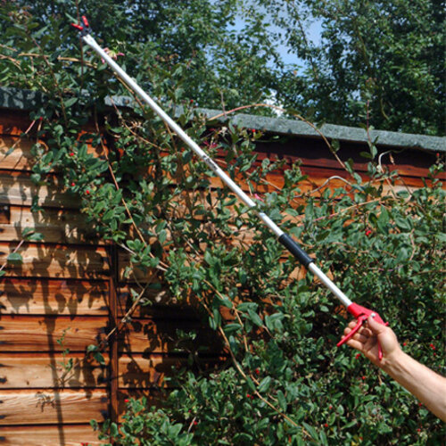 Darlac Rozen-fruit Plukschaar - 100 cm - Rozenschaar - Fruitschaar