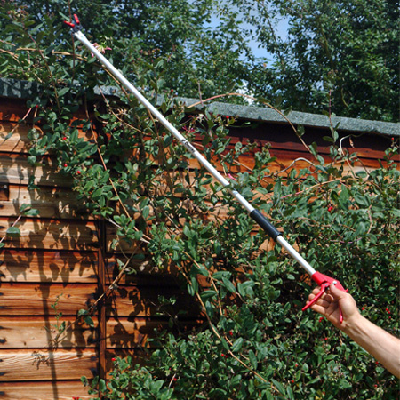 Darlac Rozen-fruit Plukschaar - 100 cm - Rozenschaar - Fruitschaar