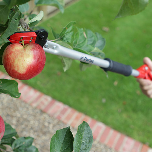 Darlac Rozen-fruit Plukschaar - 100 cm - Rozenschaar - Fruitschaar