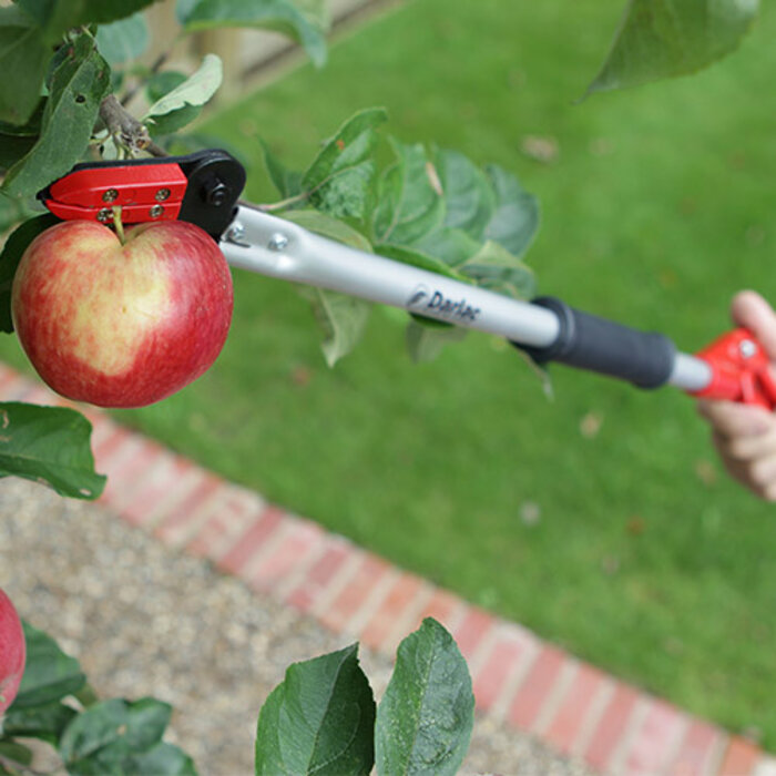 Darlac Rozen-fruit Plukschaar - 65 cm of 100 cm - Rozenschaar - Fruitschaar