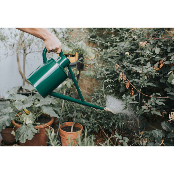 Haws Warley Fall Gieter - Original - Groen