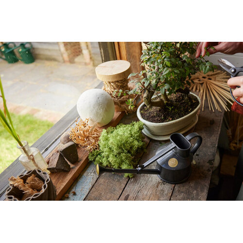 Haws Langley gieter - Kunststof 0,7 liter - 5 kleuren