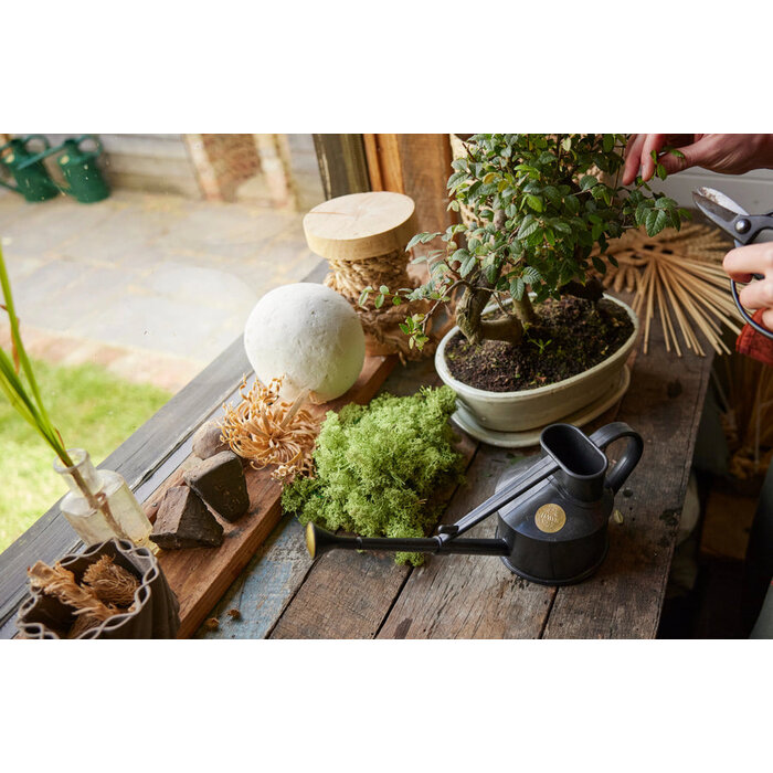 Haws Langley gieter - Kunststof 0,7 liter - 5 kleuren