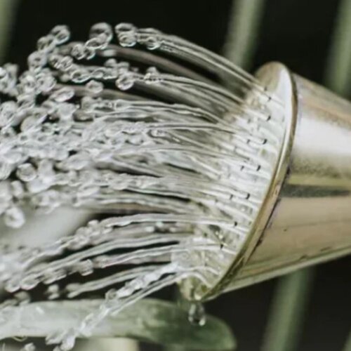 Haws Gieterbroes rond - Diverse maten - Fijn - Extra fijn - Reserve