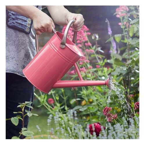 Smart Garden Products Gieter - 4,5 ltr - Zink - Diverse kleuren
