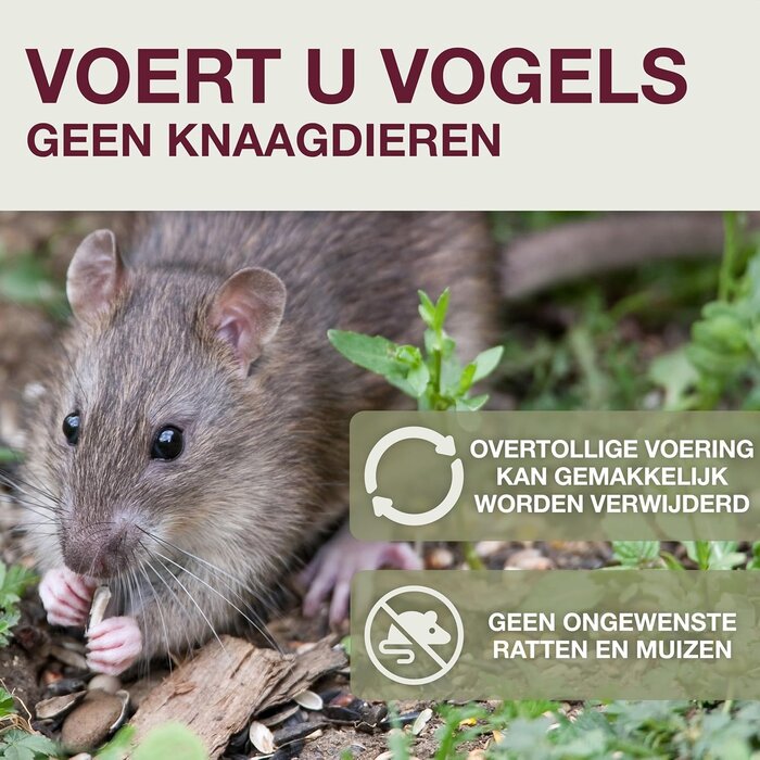 Swissinno Vogelvoederhuisje Lucerne - 3 kleuren - Voor 8 vetbollen