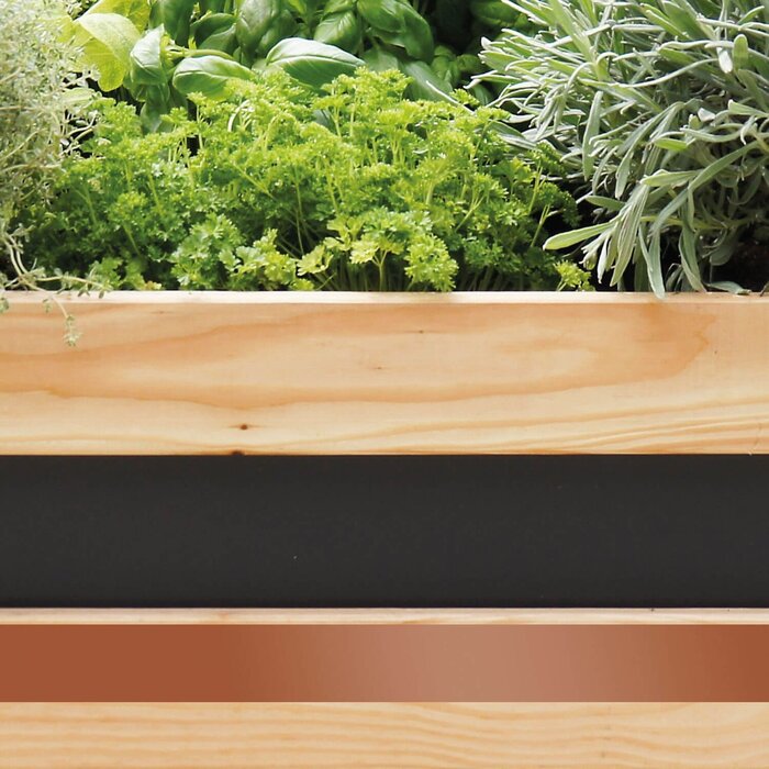 Swissinno Slakken kopertape - 3 cm x 5 meter - Plakstrip