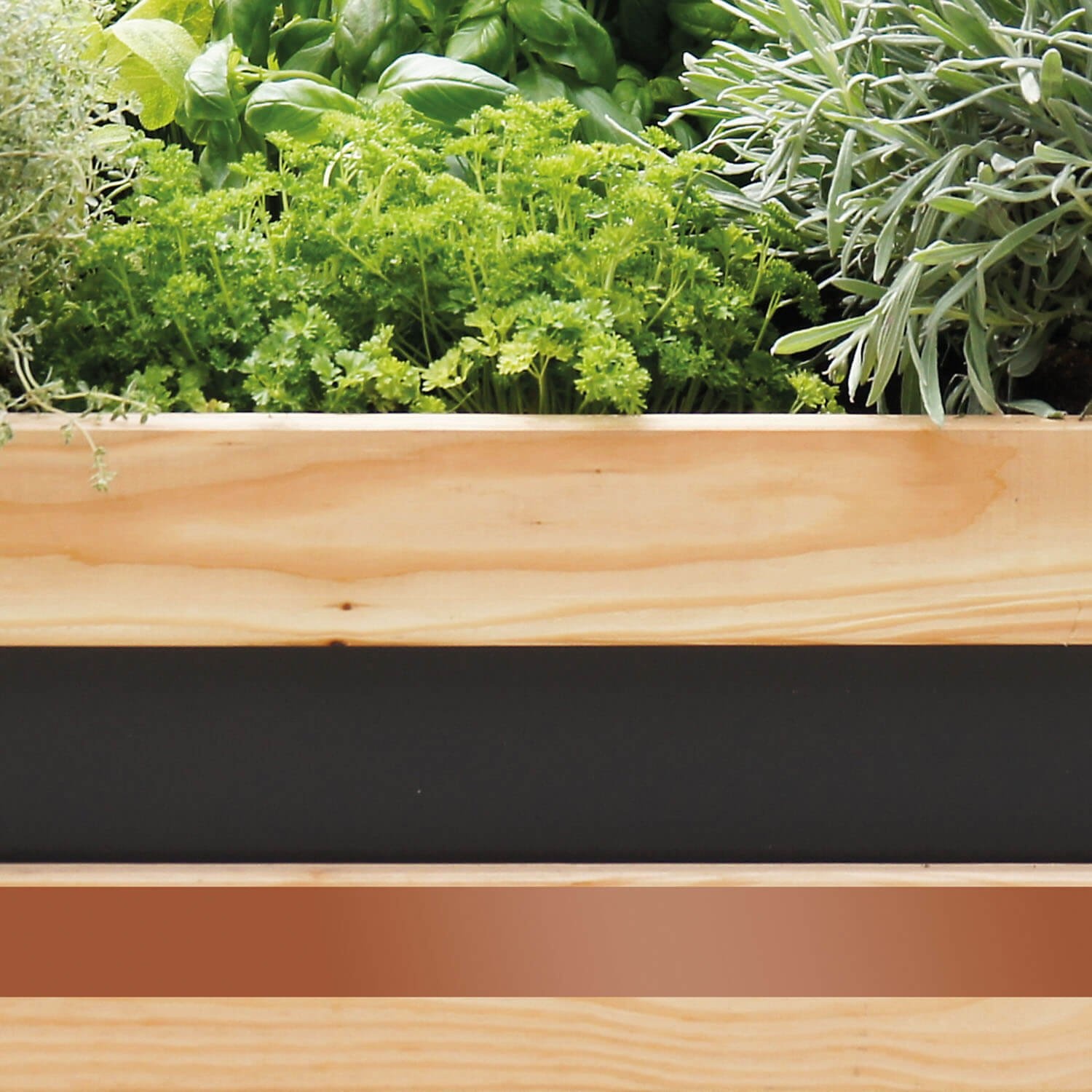 Swissinno Slakken kopertape - 3 cm x 5 meter - Plakstrip