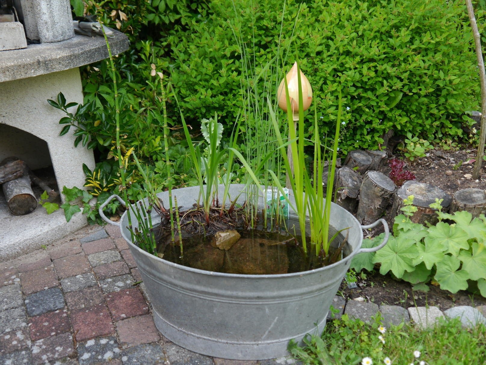 Kovotvar Teil - 40 cm breed - 20 cm hoog - Diverse kleuren