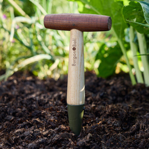 Burgon & Ball BoronGreen RHS Pootstok - 28 cm - Bollen poten - zaden zaaien