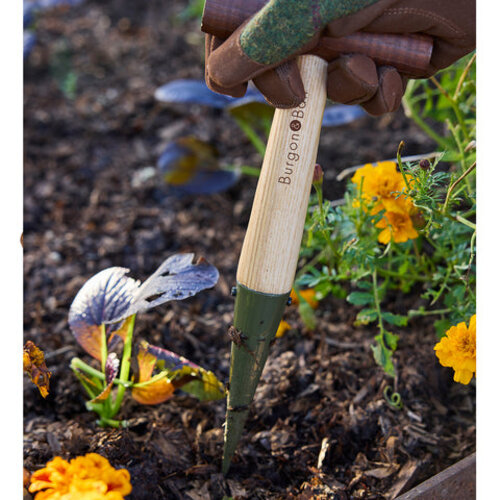 Burgon & Ball BoronGreen RHS Pootstok - 28 cm - Bollen poten - zaden zaaien