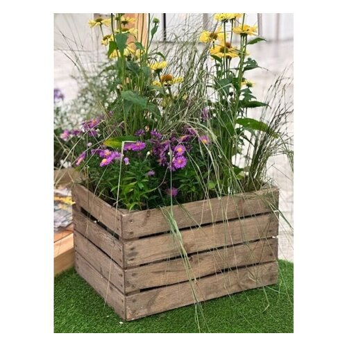 Meuwissen Agro Fruitkist - Hout - Onbehandeld - Decoratie - 50 x 40 x 30 cm