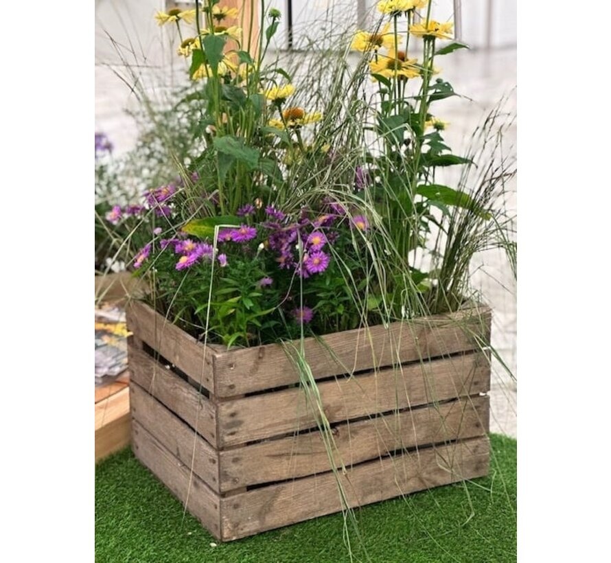 Meuwissen Agro Fruitkist - Hout - Onbehandeld - Decoratie - 50 x 40 x 30 cm