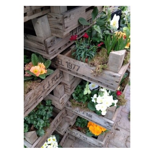 Meuwissen Agro Gaaskist - 75 x 80 x 16,5 cm - onbehandeld hout