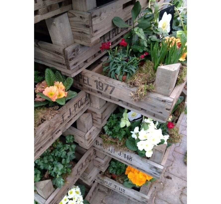 Meuwissen Agro Gaaskist - 75 x 80 x 16,5 cm - onbehandeld hout