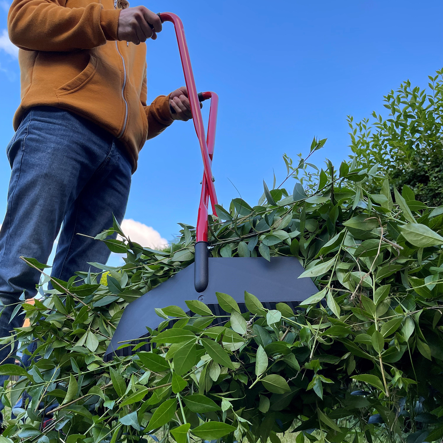 Darlac Bladgrijpers op steel - Grote handen op steel - Bladeren oppakken