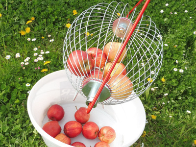 De Wiltfang Appelraper op telesteel - 120 cm