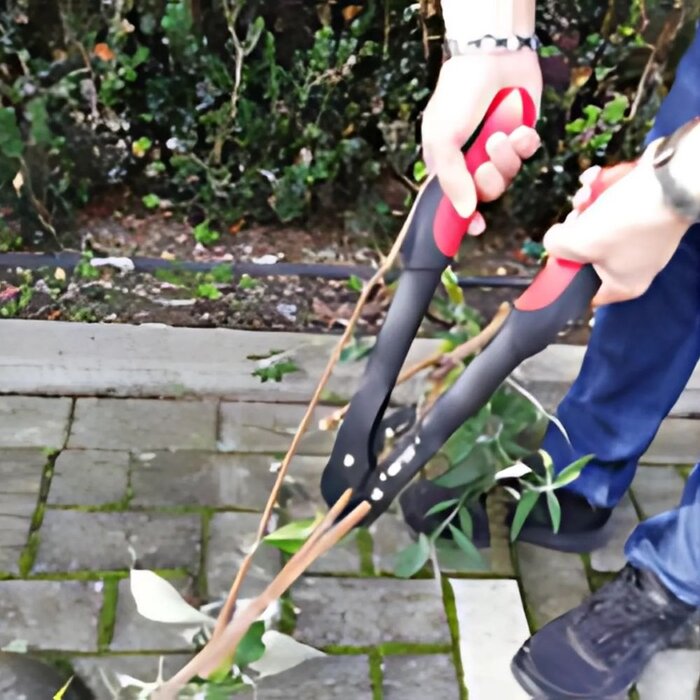 Barnel Pomptakkenschaar - Tot 40 mm