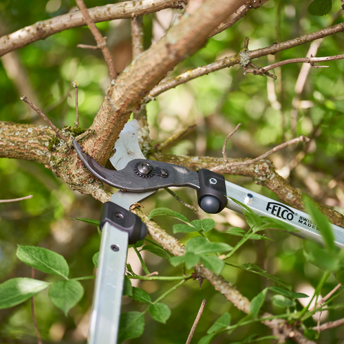 Felco 211 takkenschaar - Diverse maten - 35 mm takken