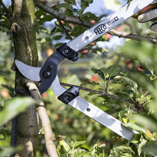 Felco 211 takkenschaar - Diverse maten - 35 mm takken