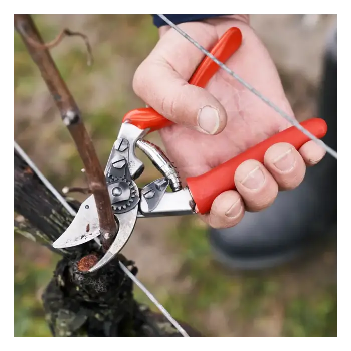 Felco 15 Snoeischaar -  Rolhandgreep - Kracht besparend