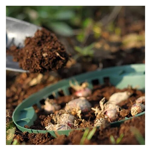 Prosperplast Bollenmand - ø 26,5 cm - 3 stuks - in de grond