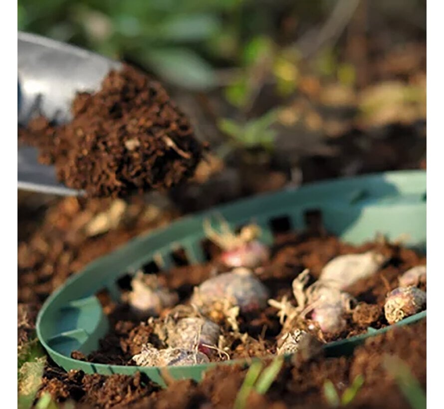 Prosperplast Bollenmand - ø 26,5 cm - 3 stuks - in de grond