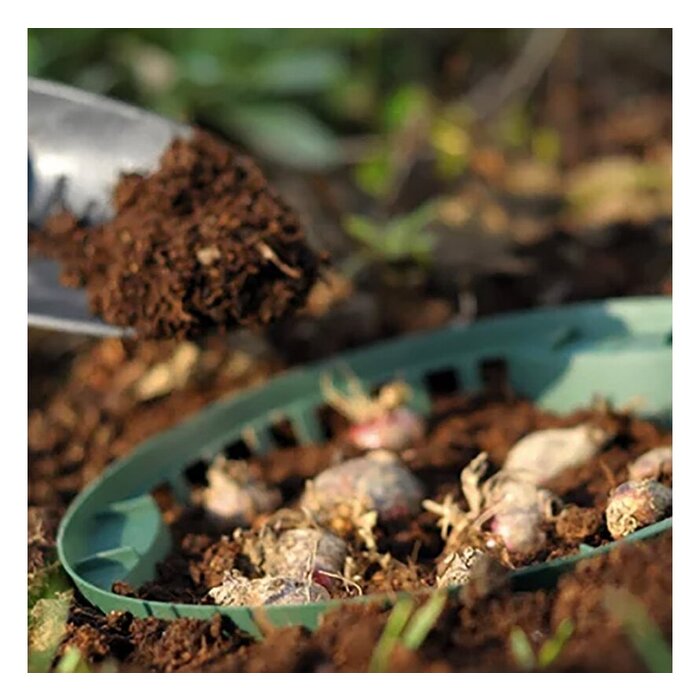 Prosperplast Bollenmand - ø 31.5 cm - 3 stuks - in de grond