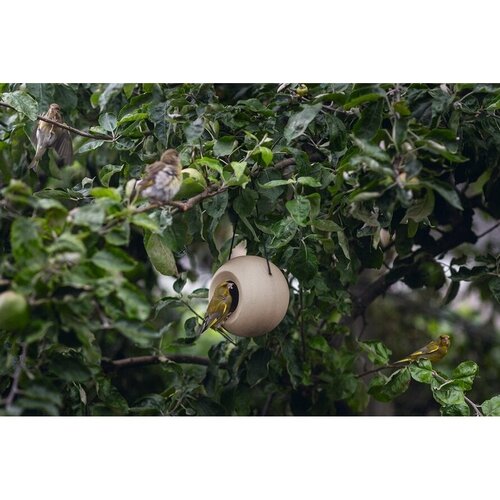 Singing Friend Voederbol Lisa - 14 cm - vogelvoerhuisje - keramiek