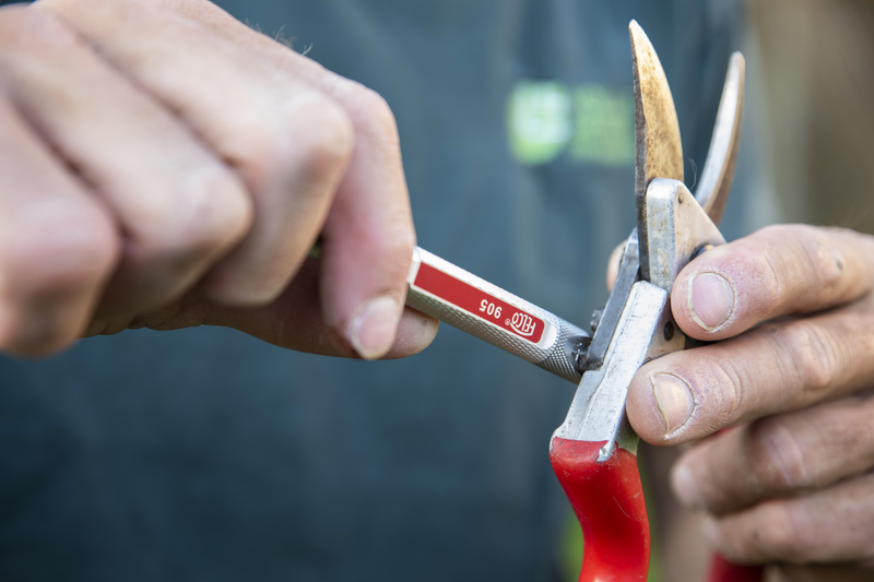 Felco 905 - Snelle slijper - onderhoud snoeischaar