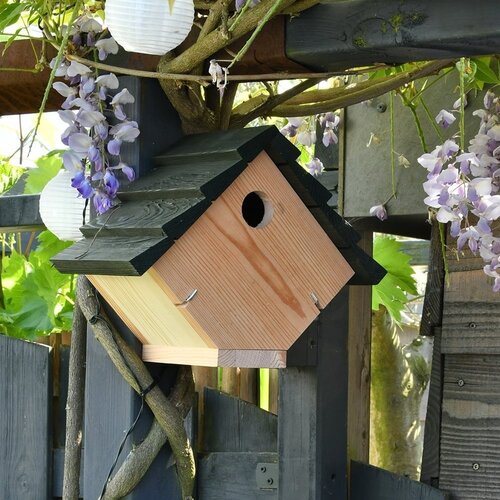 De Wiltfang Vogelpakket - Cadeaupakket