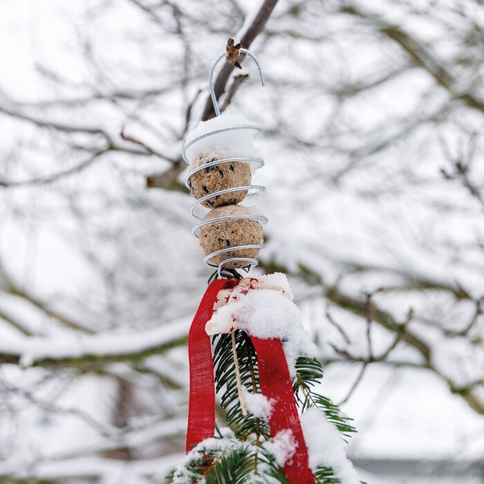 De Wiltfang Vogelpakket - Cadeaupakket