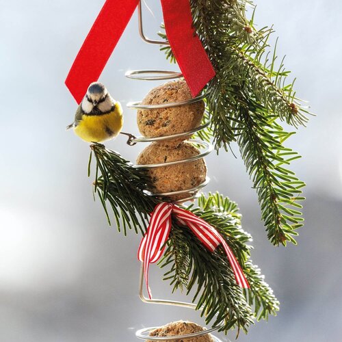 De Wiltfang Vogelpakket - Cadeaupakket