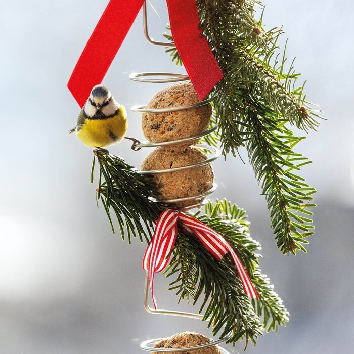 De Wiltfang Vogelpakket - Cadeaupakket