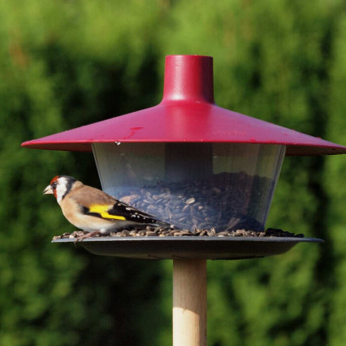 Plastia Voederhuis Finch - 3 kleuren - vogelvoer