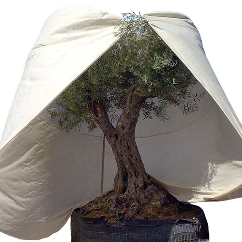 Videx Plantenhoes XXXL - 250 x 350 cm - Thermohoes - 70 gr/m2