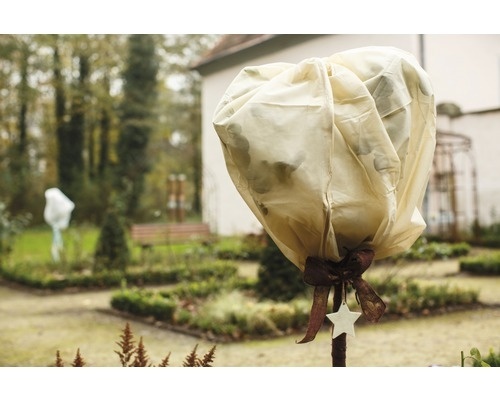 Videx Thermo Plantenhoes - 50 x 100 cm - 2 stuks - 50 gr/m2