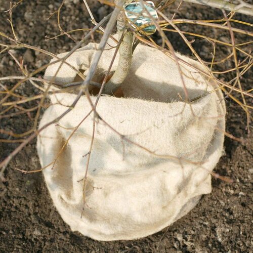 Videx Jute Viltdoek - 50 x 150 cm - 2 stuks - Plantenbescherming