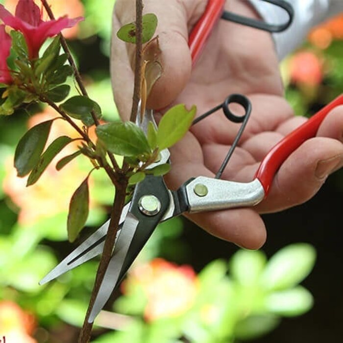 De Wiltfang Cadeaukaart pakket - Inclusief gereedschap