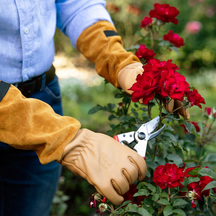 Felco 705 Rozenhandschoenen - Leer - Medium
