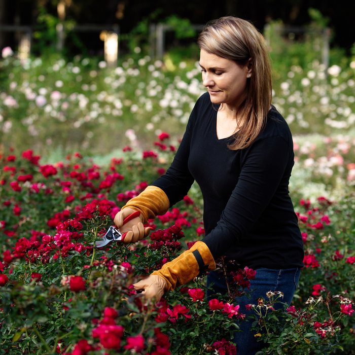 Felco 705 Rozenhandschoenen - Leer - Medium
