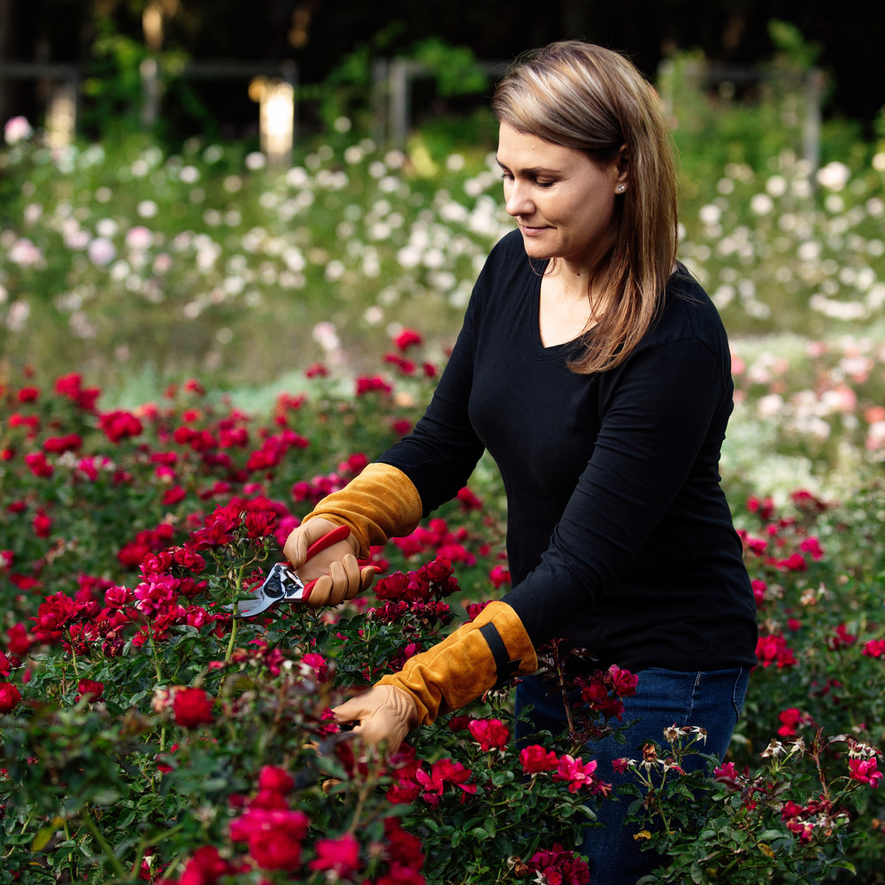 Felco 705 Rozenhandschoenen - Leer - Medium