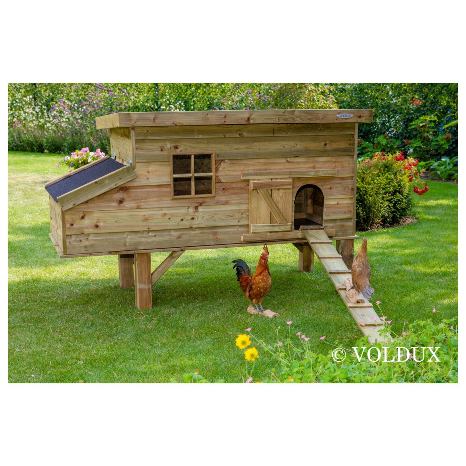 Voldux Kippenhok Fenne & Finn - 190 x 88 x 84 cm - Legnest