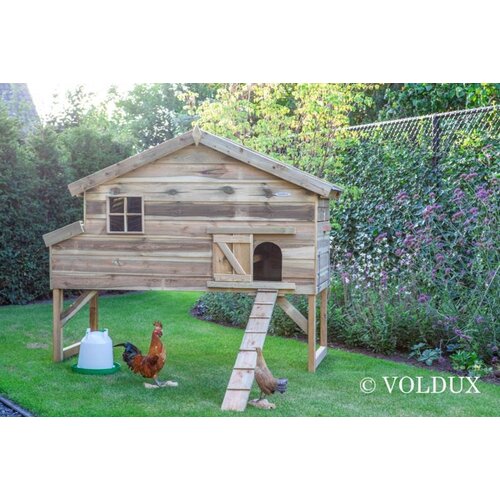 Voldux Kippenhok Jasper - 140 x 90 x 165 cm - Geïmpregneerd hout