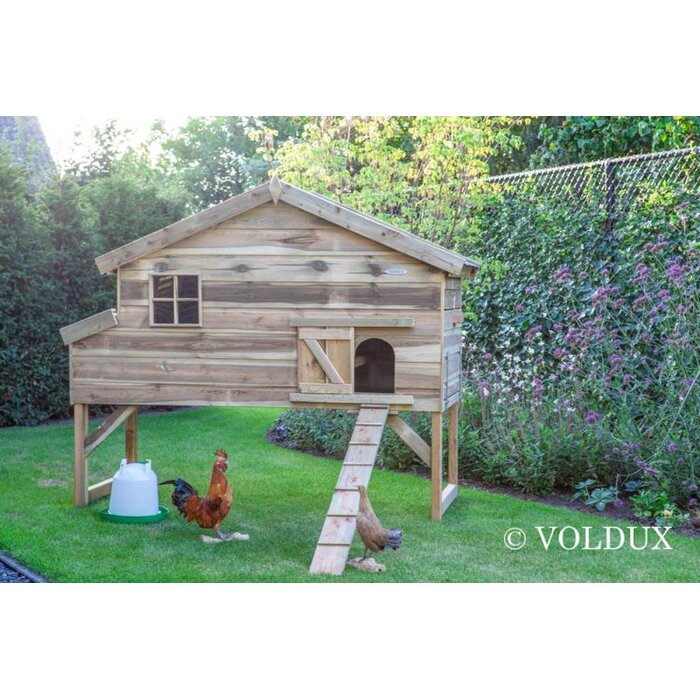 Voldux Kippenhok Jasper - 140 x 90 x 165 cm - Geïmpregneerd hout