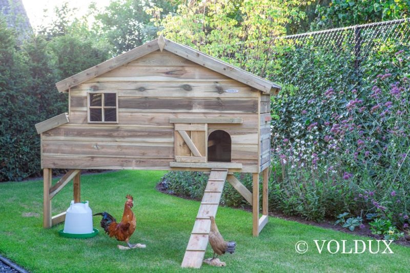 Voldux Kippenhok Jasper - 140 x 90 x 165 cm - Geïmpregneerd hout